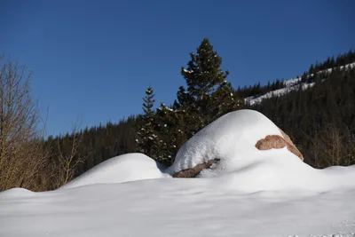 DSC_4972 (Large).JPG